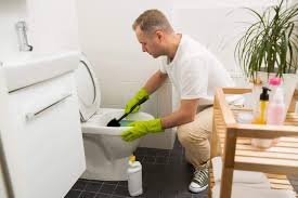 Como desentupir vaso sanitário sem desespero